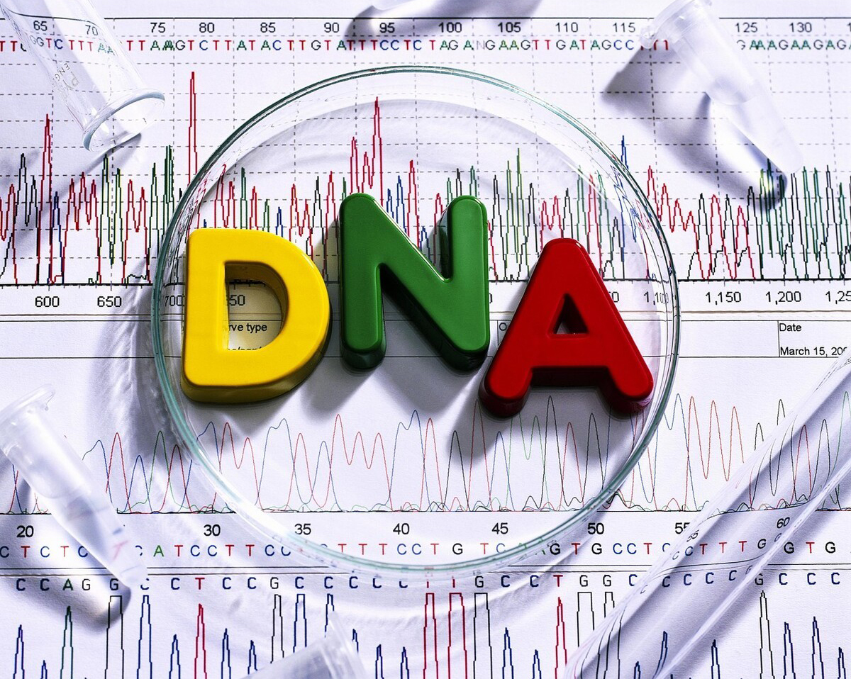 亲子鉴定误区澄清：苏州家长必读的科学指南